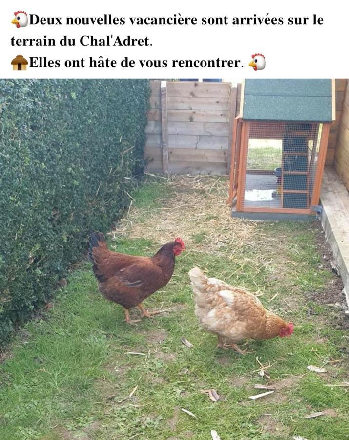 Le Chal Adret Villa Cardonville Exteriör bild
